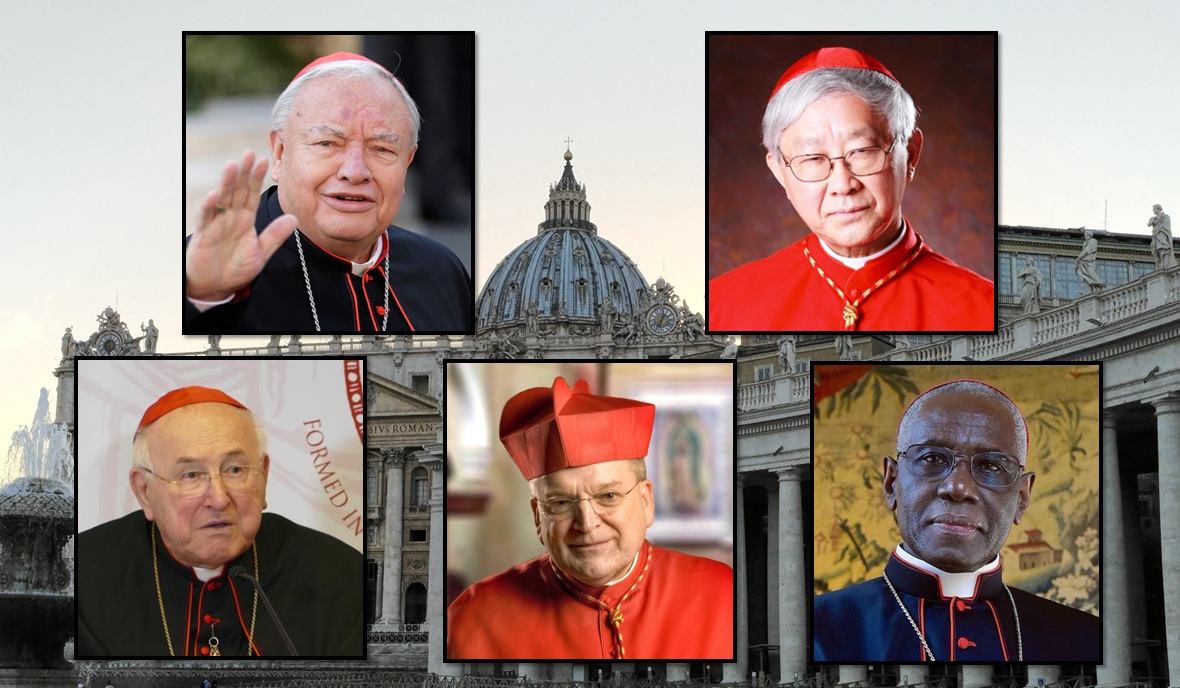 Five Cardinals Submit Dubia to Pope Francis Ahead of Synod on ...
